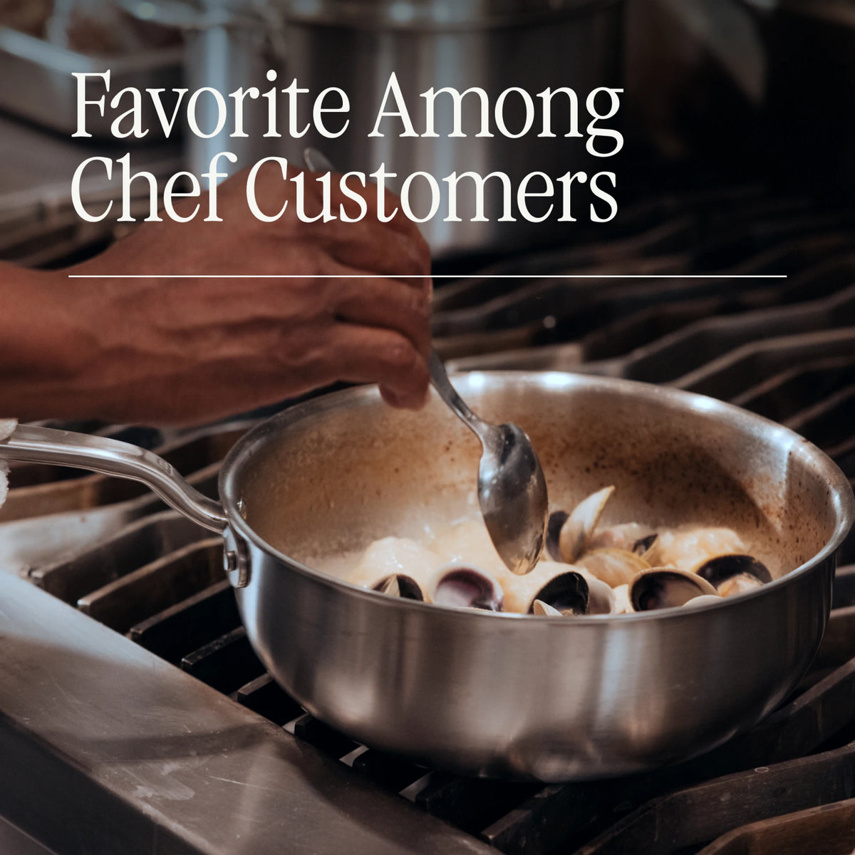 Stainless Saucier Set
